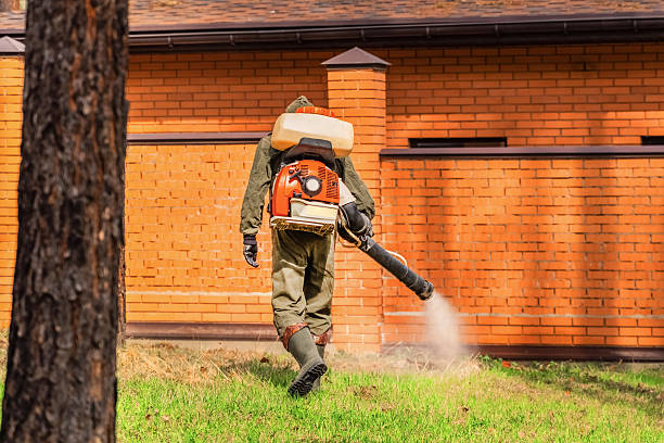 Trusted Bed Bug Control service in Skyline View, PA - Nex Pest Control